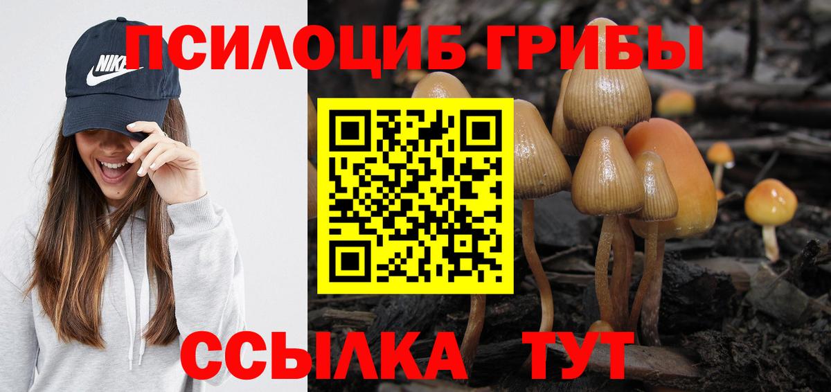 Псилоцибиновые грибы Psilocybe  Вход с VPN  Оренбург 
