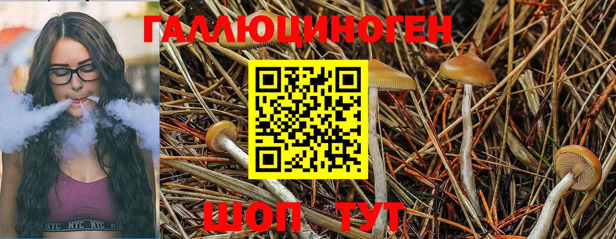 Псилоцибиновые грибы прущие грибы Оренбург